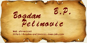 Bogdan Pelinović vizit kartica